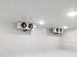 速凍冷庫內景圖片