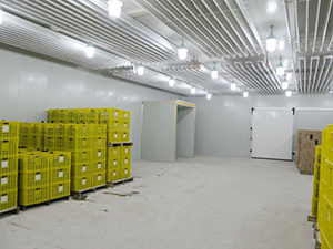 速凍冷庫完工內景圖片