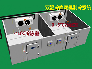 雙溫冷庫制冷系統圖片