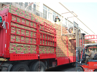 上海冰度倉儲松江區12000平米高低溫冷庫出租案例