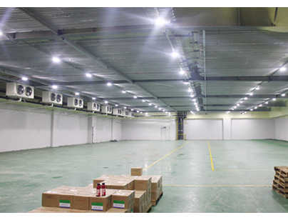 上海冰度倉儲松江區12000平米高低溫冷庫出租案例