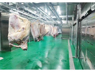 河北13500立方米進口牛定點屠宰加工冷庫規劃項目