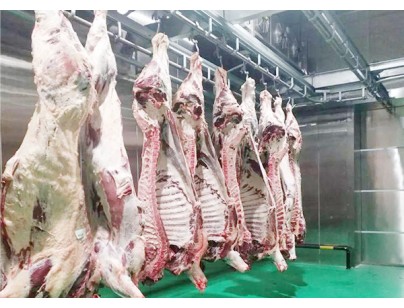 河北13500立方米進口牛定點屠宰加工冷庫規劃項目