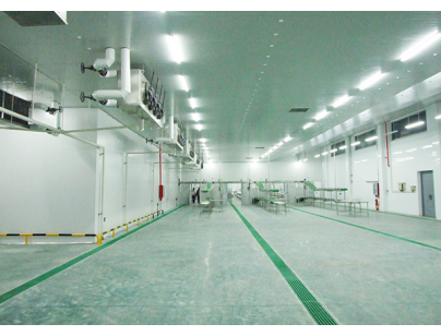 河北13500立方米進口牛定點屠宰加工冷庫規劃項目