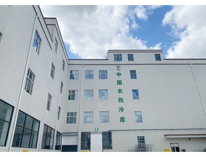 江蘇啟東22540立方米農產品國際物流港冷庫規劃設計工程項目