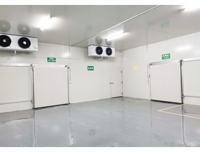 上海佰誠醫療1100㎡藥品陰涼庫（冷藏冷凍庫）新工程案例