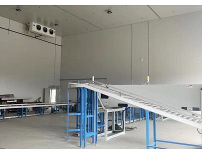 京東醫藥（天津）10000立方生物醫藥多溫冷庫工程案例