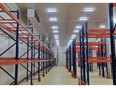 杭州養生堂萬泰生物6600m3醫藥冷庫（低溫冷藏庫）工程案例