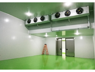 海寧紅獅寶盛科技工業低溫冷凍庫工程建造工程案例