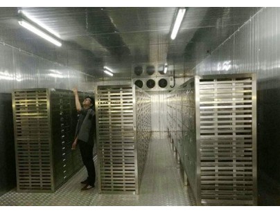 國家海洋局第二局海洋生物試劑低溫科研實(shí)驗(yàn)冷庫工程建造方案