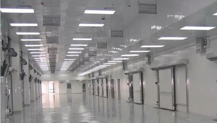 大型冷庫費用標準多少錢一平方