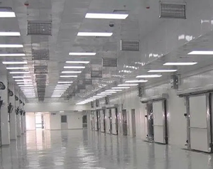 大型冷庫(kù)費(fèi)用怎么算的