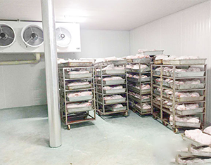 屠宰冷庫價格多少錢一平方米？