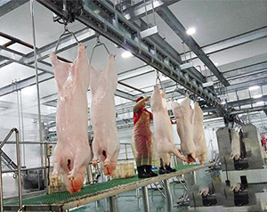 屠宰場生產冷庫預冷間溫度要求是多少？