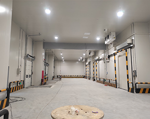 珠海餐廳雙溫冷庫價格多少錢一平方？