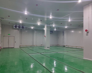 易制爆危險(xiǎn)化學(xué)品專用儲藏冷庫設(shè)計(jì)標(biāo)準(zhǔn)規(guī)范