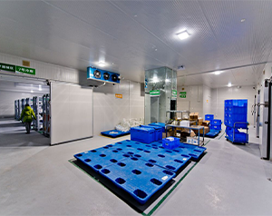 體外診斷試劑冷庫驗證驗收需要滿足什么樣的條件？