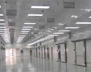 大型冷鏈物流冷庫設(shè)計(jì)定做冷庫多少錢一平方合適？