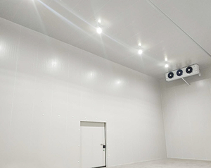 2000噸冷庫應該建多大？造價成本投資多少錢？