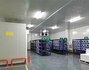 辛集存儲疫苗的企業建冷庫 什么價格
