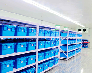 辛集存儲疫苗的企業建冷庫 什么價格