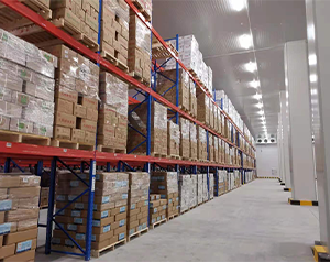 產業規劃園區內建造16000平米的物流冷庫整體方案報價？