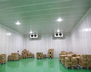 建設冷鏈物流倉儲冷藏庫影響價格的因素有哪些？