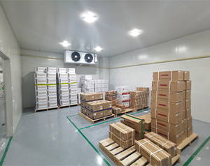 gsp醫藥冷庫（疫苗冷庫）建造多大面積合適