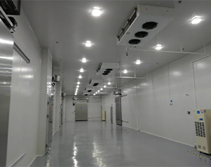 gsp醫藥冷庫（疫苗冷庫）建造多大面積合適