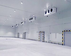 預制菜零下5度能放多久時間