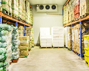 1000噸蔬菜保鮮冷庫造價(jià)多少