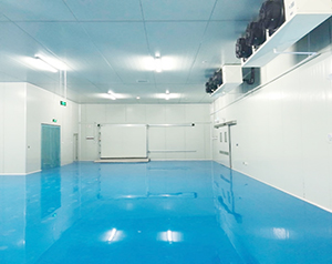 智能自動化冷庫設計規(guī)范：提升冷鏈物流效率與品質保障