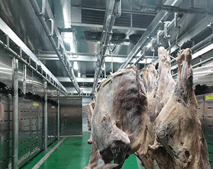 凈化車(chē)間冷庫(kù)