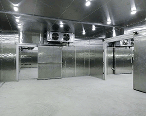 凈化車(chē)間冷庫(kù)設(shè)計(jì)規(guī)范,潔凈冷庫(kù)安裝規(guī)范標(biāo)準(zhǔn)要求