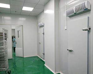凈化冷庫工程造價標準規范，凈化車間冷庫溫度要求