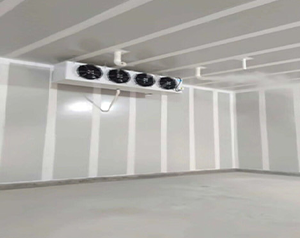 水果恒溫庫建設的商業價值分析