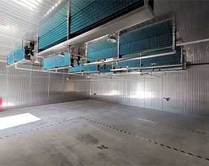 電子化工冷庫建設項目實施方案