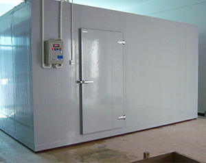 安裝一個(gè)面包冷卻冷庫需要多少錢？