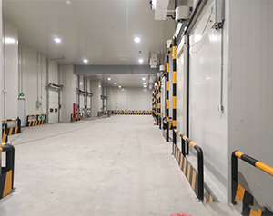 保鮮庫出租利潤如果進行計算？