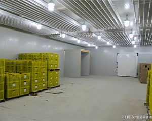 蔬果保鮮有多難？水果發(fā)霉了還能吃咩？