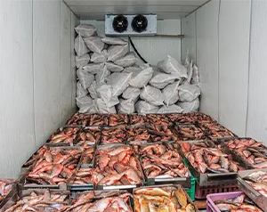 舌尖上的漁業(yè)制冷-海鮮、魚類冷庫