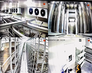 智能全自動冷庫生產廠家