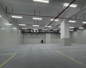 內蒙古葡萄氣調冷庫建造廠家