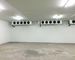 水產(chǎn)冷庫(kù)造價(jià)標(biāo)準(zhǔn)多少錢？水產(chǎn)海鮮冷庫(kù)定制安裝方案