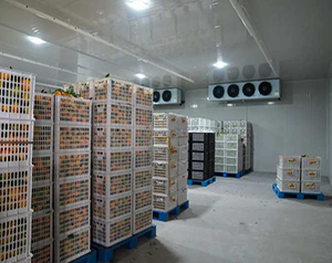 建造農(nóng)產(chǎn)品粗加工車間冷庫(kù)投資成本大概多少錢(qián)