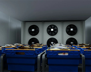 江西800立方生鮮冷庫造價預估多少？