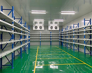 企業中的部分危險化學品為什么要放冷庫