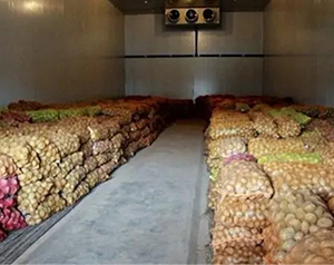 安徽小型食品冷庫造價多少錢一噸？