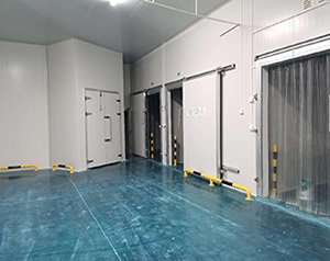 1000平方米混合結構冷庫造價表多少錢