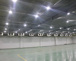 大型冷庫管冷和風冷的區別